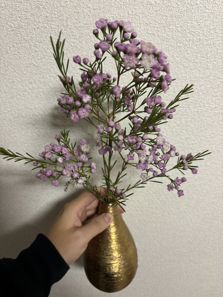 Mogan (@mogan1111525) on Twitter photo 