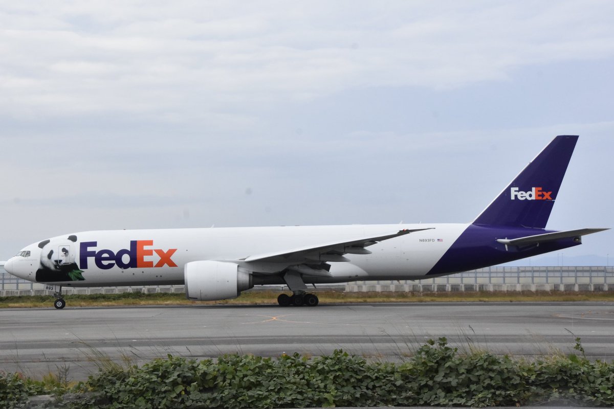 AirplaneVictory's tweet photo. November 27th 2024
FedEx B777F N893FD
Panda Express Livery in KIX/RJBB
#FedEx #B777F #N893FD
#PandaExpressLivery
#KansaiInternationalAirport https://t.co/VOPP8lAyd0