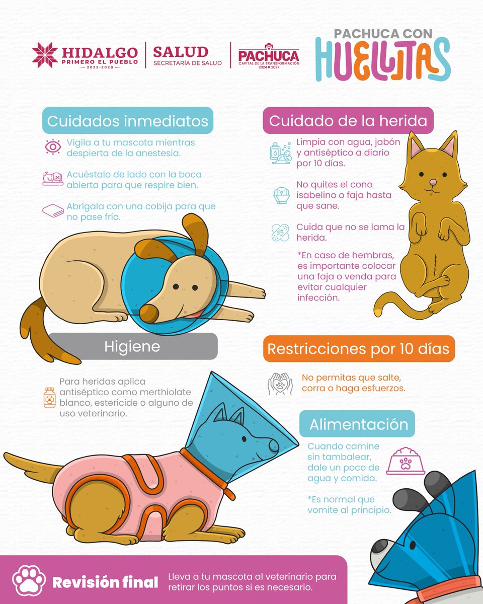 Jorge Alberto Reyes tweet media