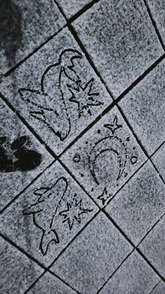 아침이 오면 사라지는 도화지