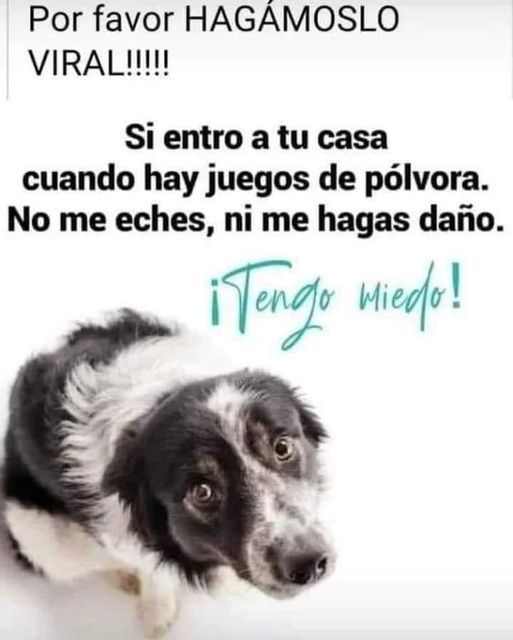 Recuerden para las próximas fiestas