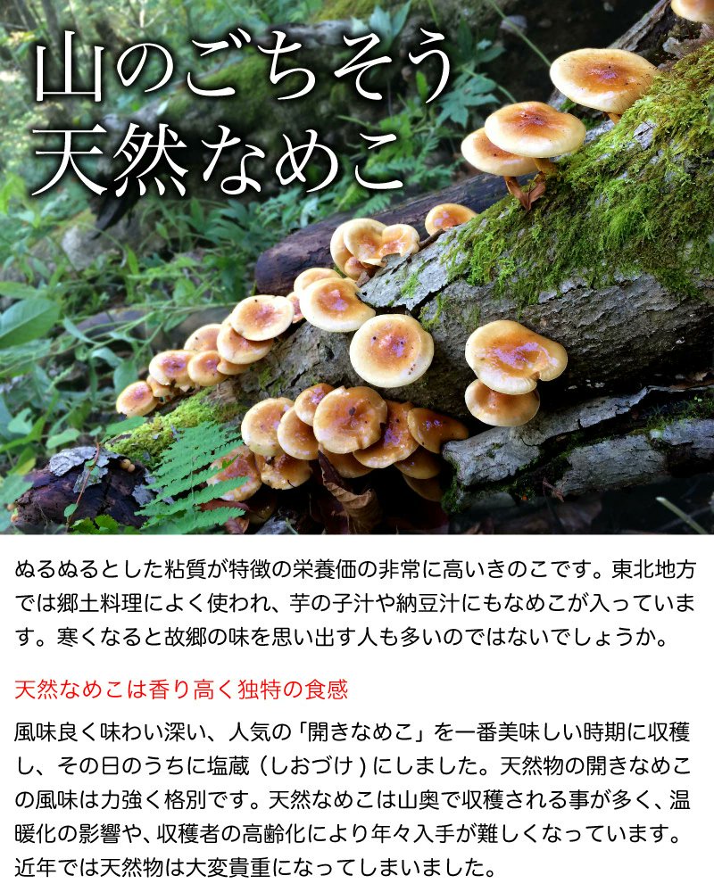 sobataguru's tweet photo. 山形飯豊の天然きのこ。独特のぬめりと歯ごたえ。油揚げのほど良いコクと、山菜のような春菊の苦み。
全体をまとめるのが、旨味がじんわり沁みる薄味のだし。

#天然きのこ #山形 #飯豊 #IIDE #高円寺 #純情商店街 https://t.co/R1ATKXvrzW