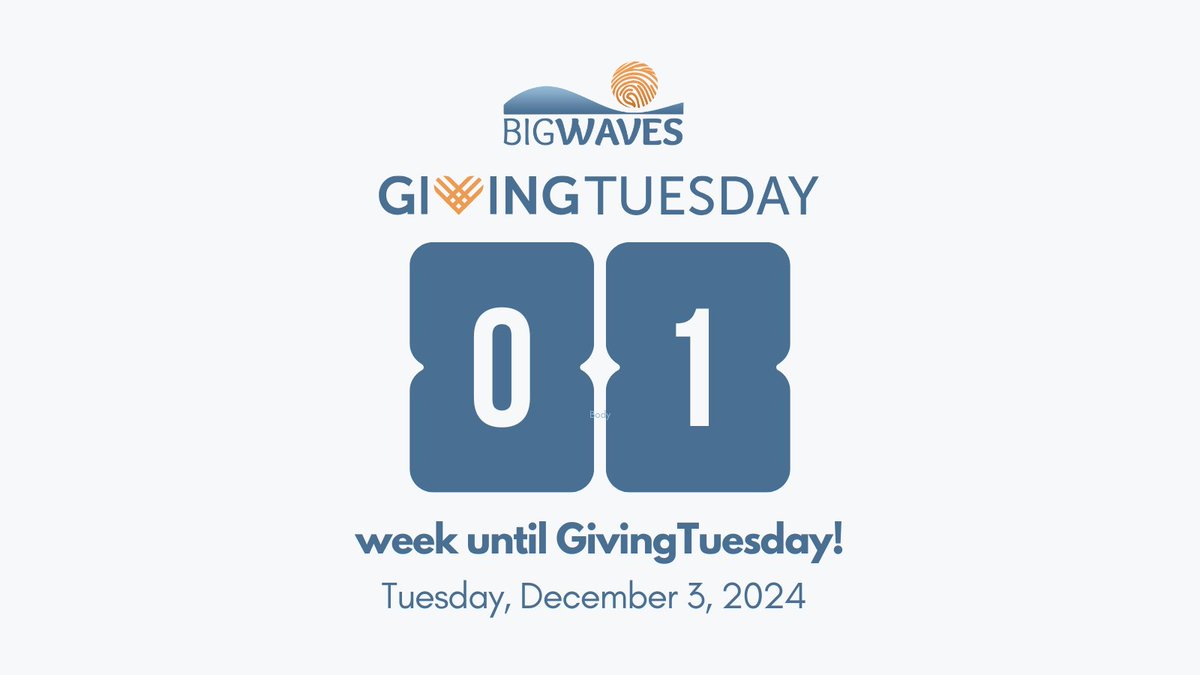 Save the Date! 📆 #GivingTuesday is only 1 week away. Your donation supports #gunsafety in our communities, Colorado Water Polo scholarships, mental health programs, gun training programs, and free gun locks for all. bigwavesinc.org/donate