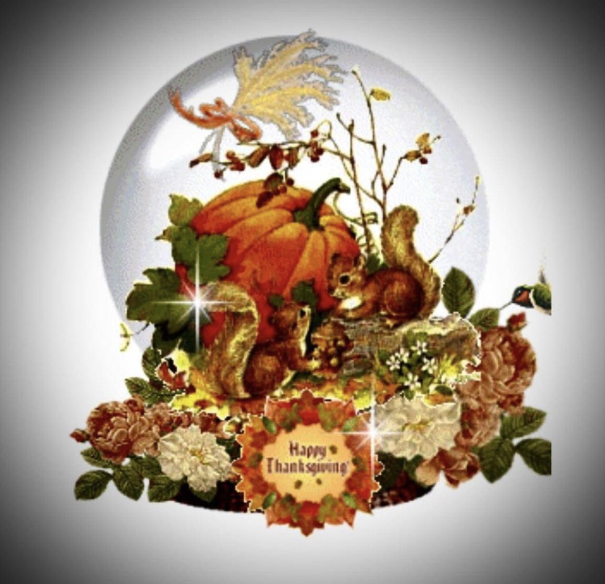 EdgarWiener's tweet photo. Hope everyone has fun planned for Thanksgiving 🦃 us girls have a new instagram acct @1edgarwiener hope to see you!  #Dachshunds #Wienerville 
Have a wienerful holiday 🐾🍖🐾 https://t.co/vvBTh9NQol