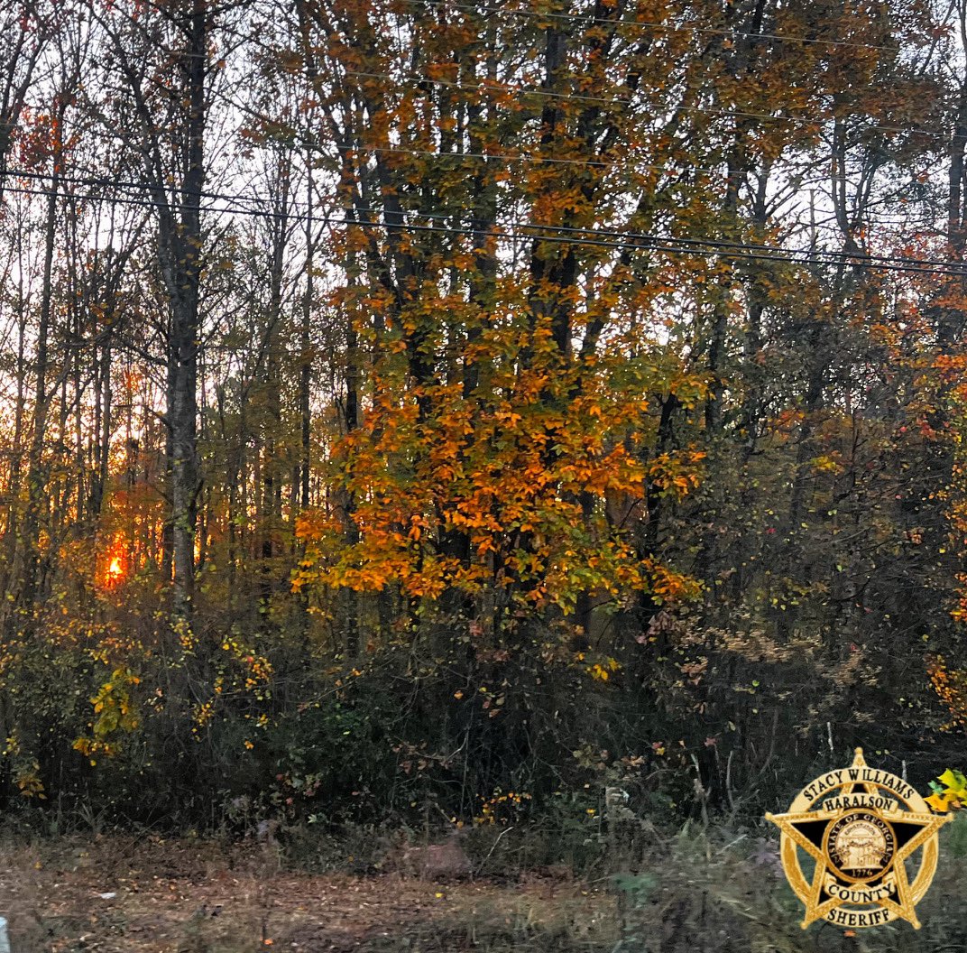 HaralsonSheriff's tweet image. Good Tuesday evening folks, we hope y’all have a great night!

#GoodnightHaralson 
#SecureValuables 
#HCSO