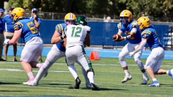 LT Lions Football tweet media