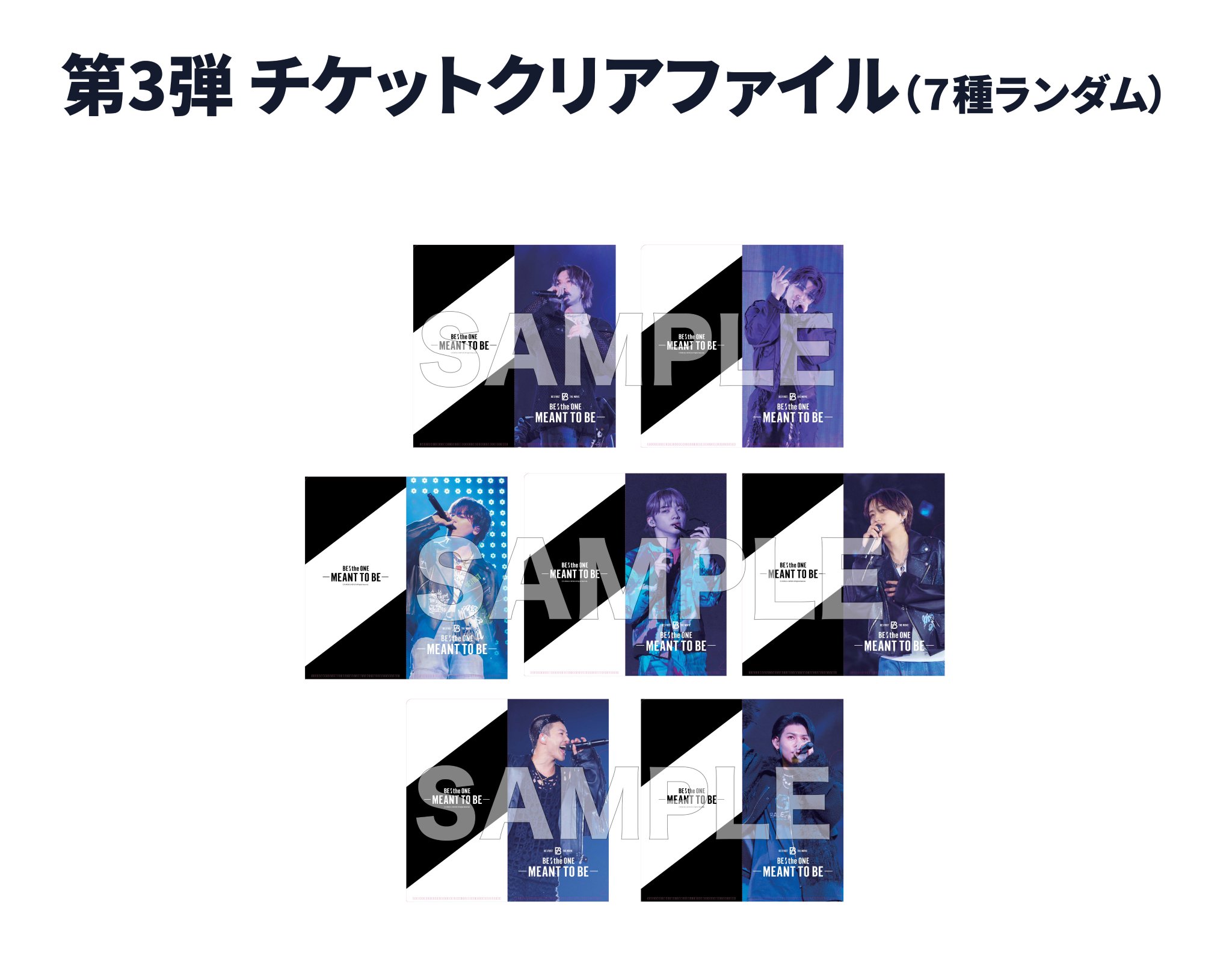 BE THE ONE MEANT TO BE チケットファイル BE THE ONE MEANT TO BE チケットファイル