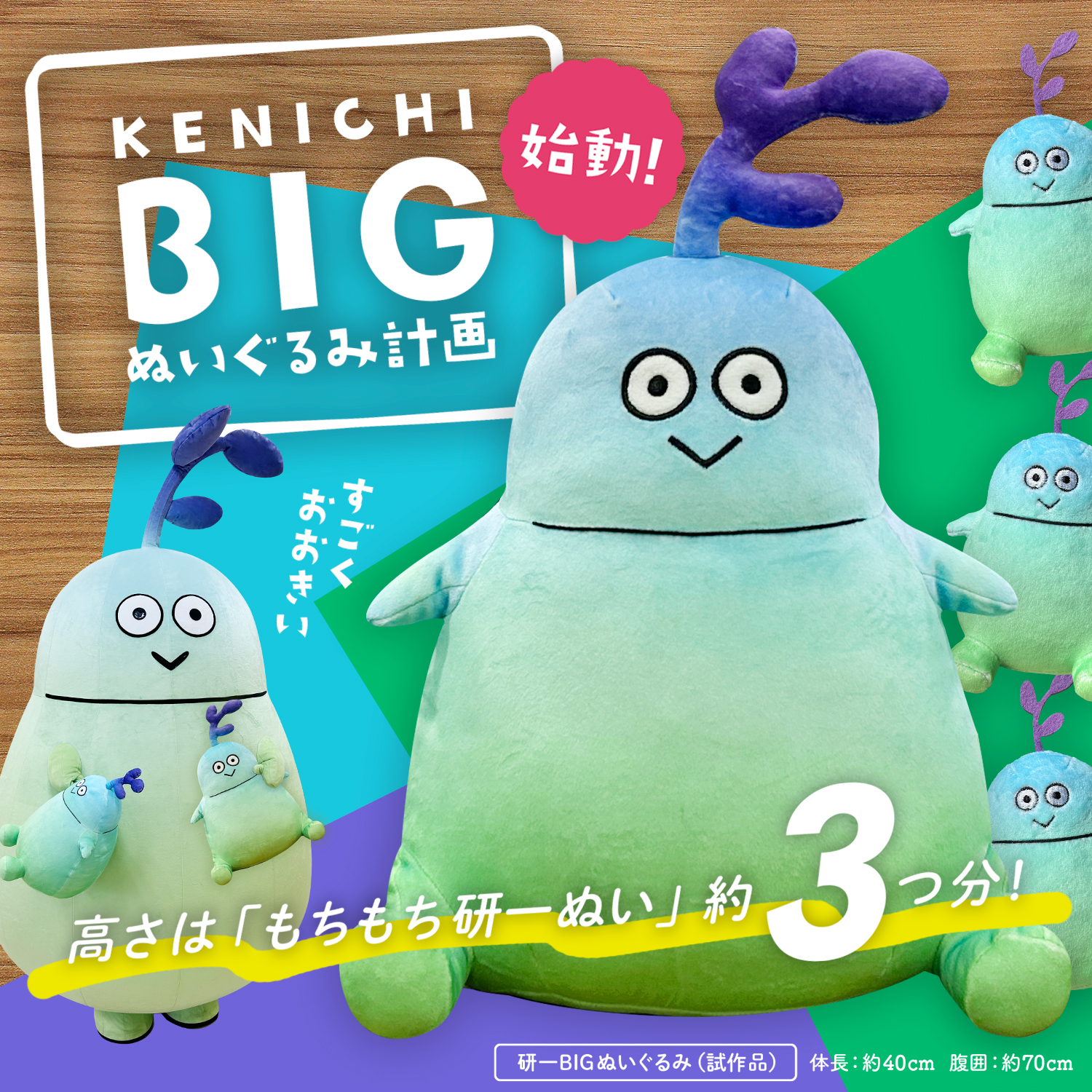 もっちもち研一BIGぬいぐるみ 東北大学広報 on X: 