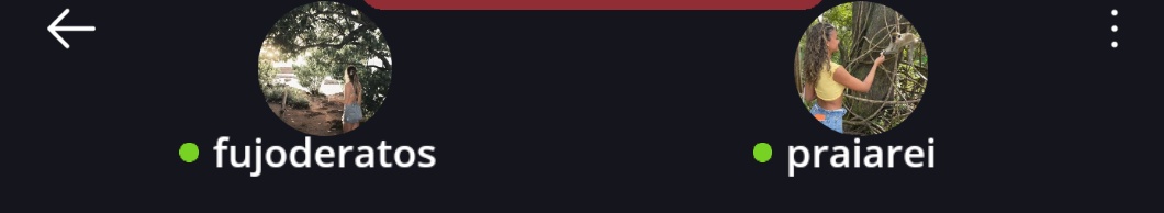 nós quase gêmeas de icon