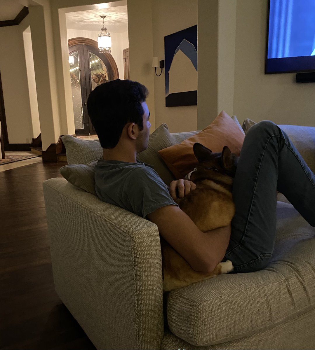 RubyCorgi's tweet image. He’s home! #backhomeballer #corgi