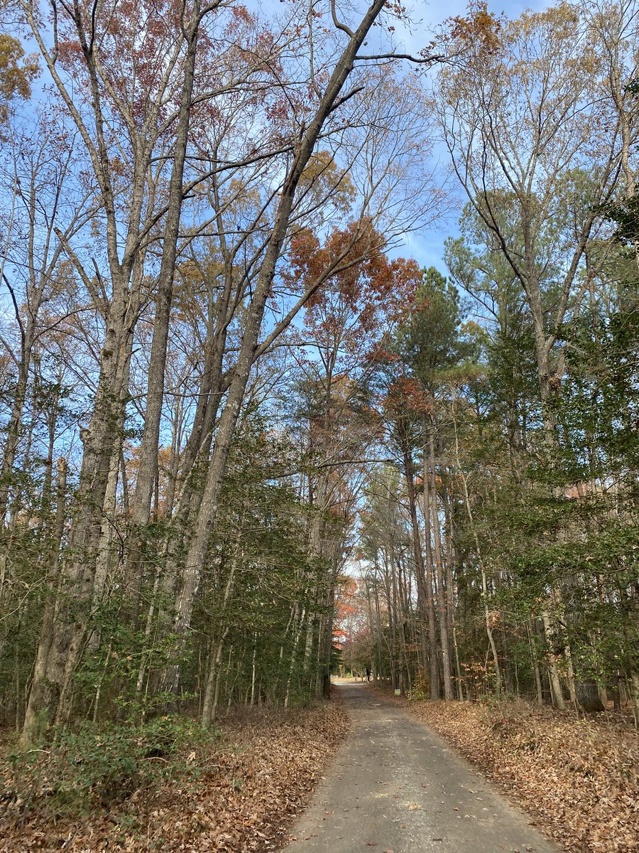 Alexxussh's tweet image. Proof of life.
Update: went to tour some land today for my farm & to significantly expand my garden.
Working on my agritech projects as well.
👩🏾🌾❤️