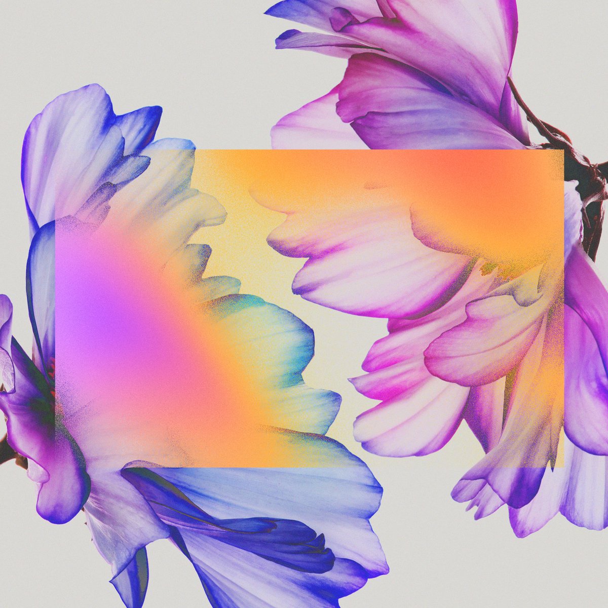 shytaupe's tweet image. 【ラジオ情報🎙️✨】

本日11/27(水)・明日28(木)の2日間
FM福井「Update Evening！」にて
#シャイトープ が18時台コメント出演致します！

BEAT PHOENIX 2024への意気込みも、、？
ぜひお聴きください！

#FM福井 #UpdateEvening @updateevening2
- - - - - - - - -

「再会」配信中💐

🎧DL&amp;amp;Streaming