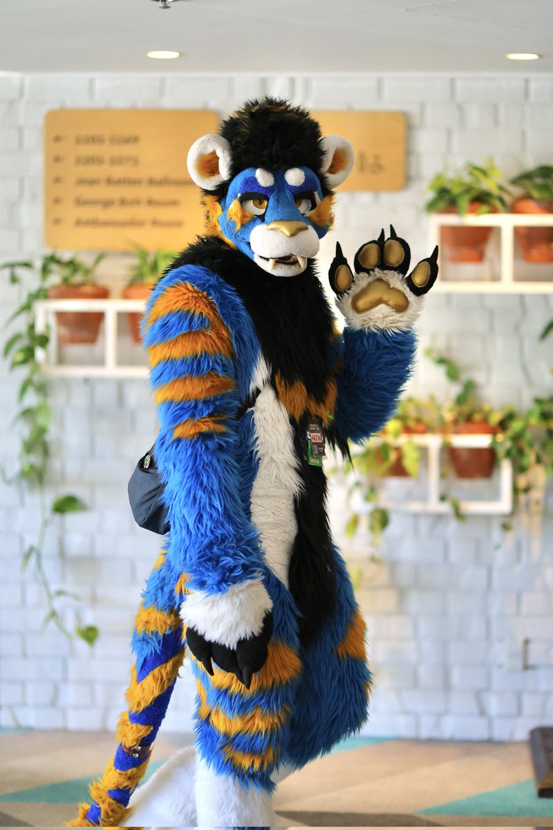 Altin | アルティン 🔜 manedstripes.cat tweet media