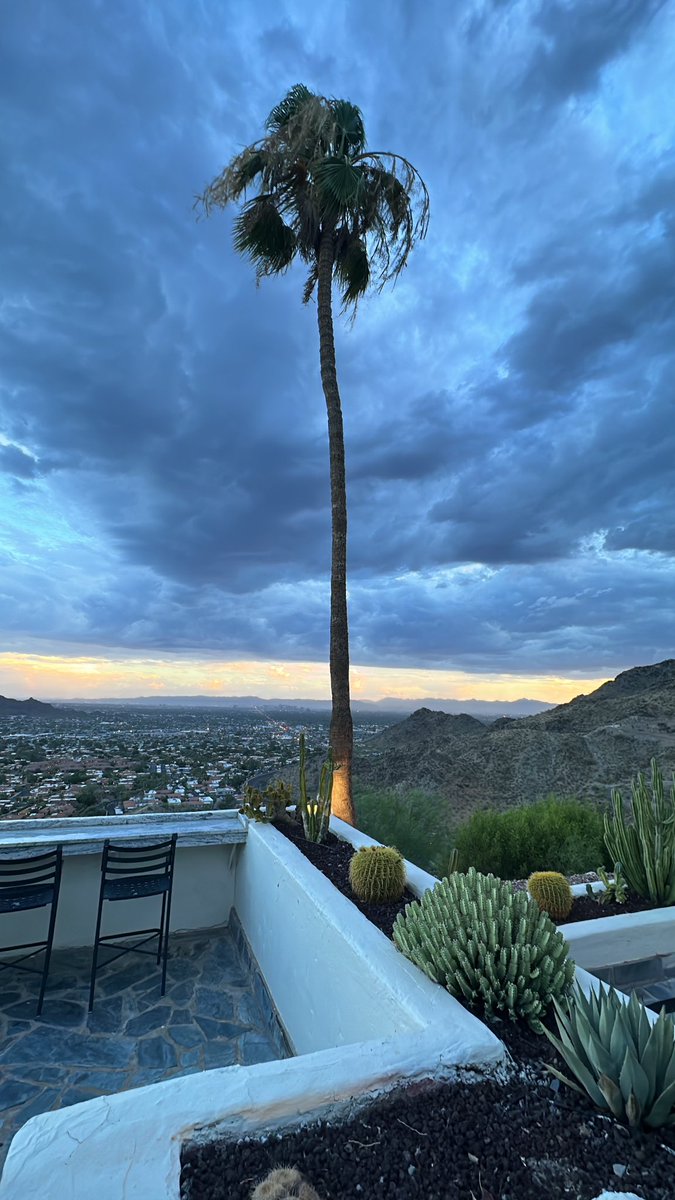 dripstaricy's tweet photo. Make $, get fly, &amp; travel 🥂.  My life in 4 pics. https://t.co/PZ9PTex0wk