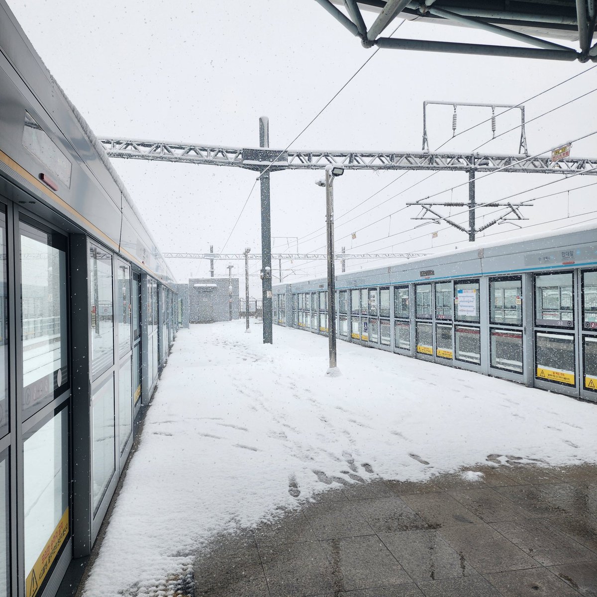 雪