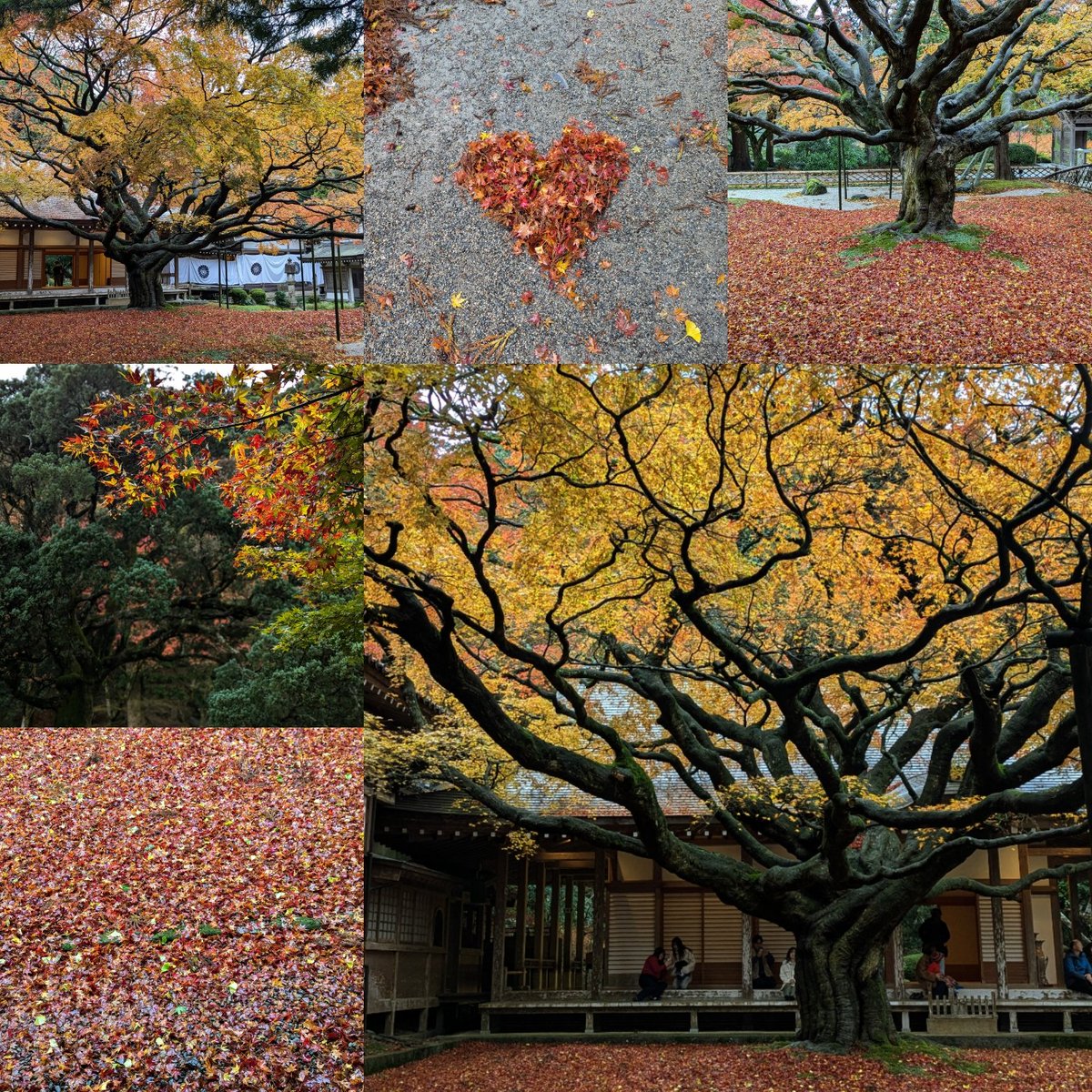 miiko024's tweet image. やっとごたごたが終わりふつうの日常に戻った。余裕が生まれたので
友達とカレーランチ＆ドライブ。
雨上がりの雷山観音、人も少なくとってもよかった!
来年も行こう。