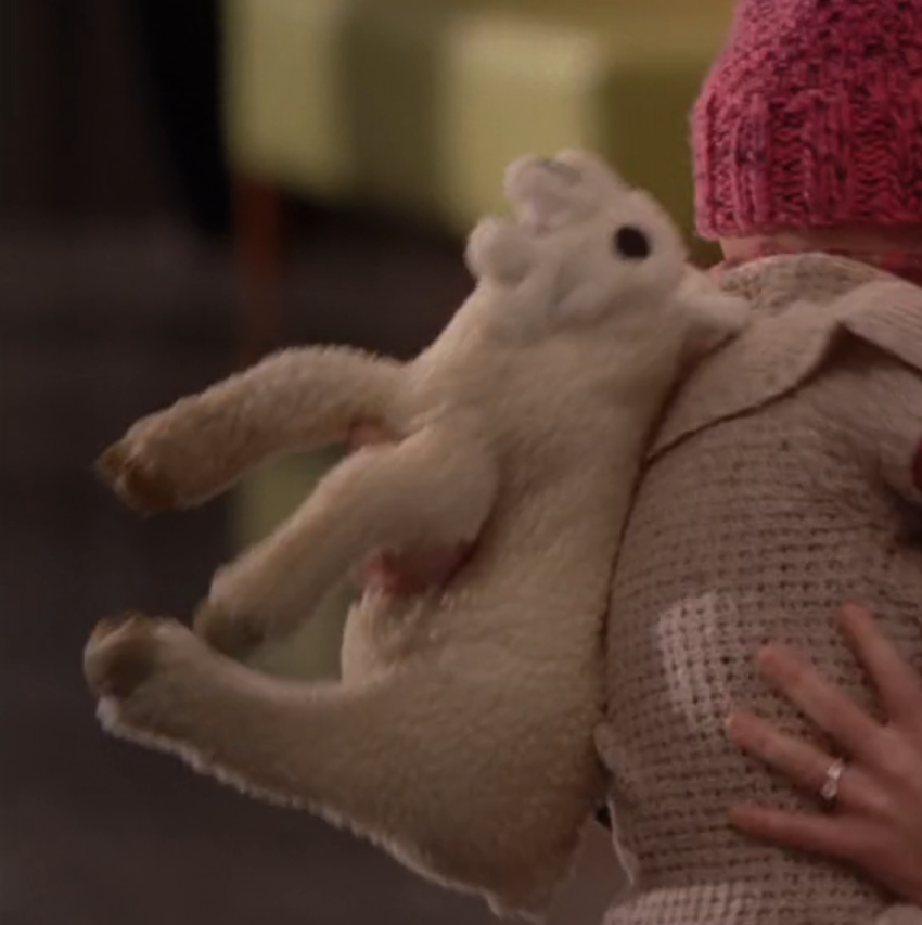 Sheep Of the Day🐑 tweet media