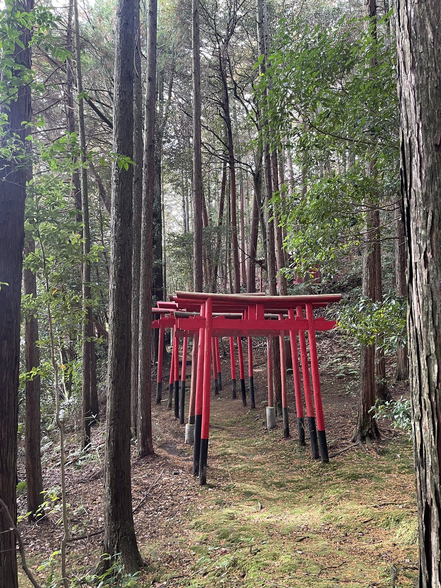 不爱说话 tweet media