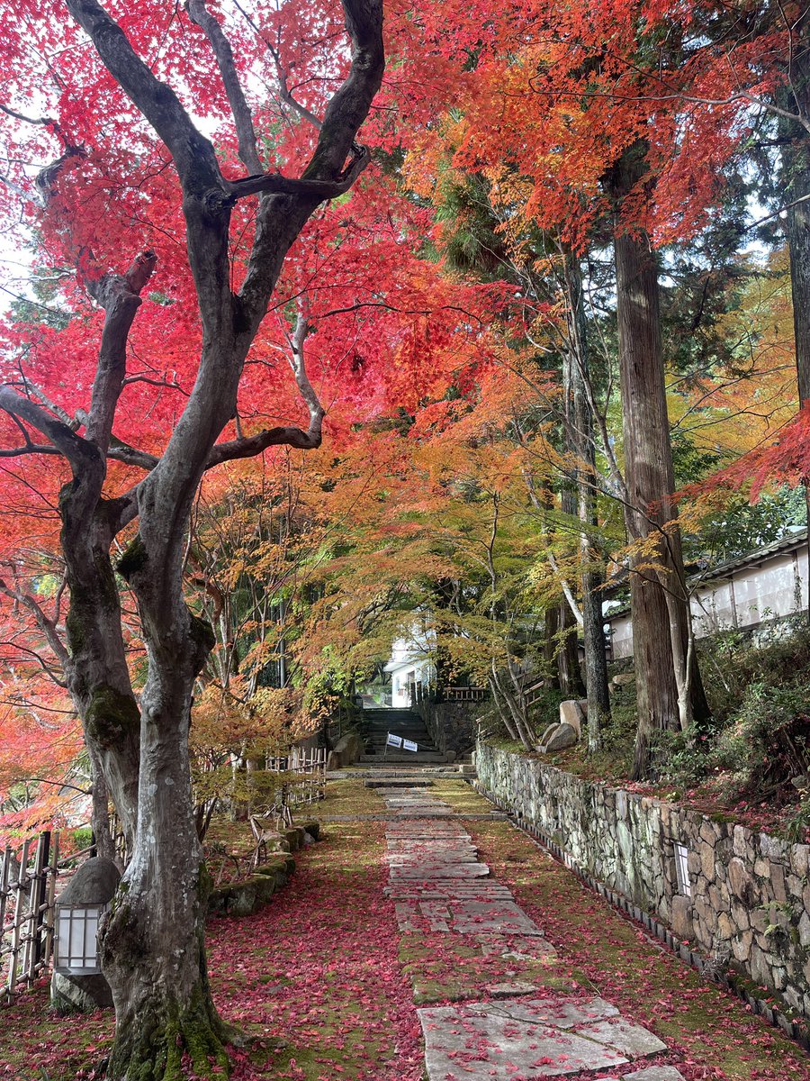 不爱说话 tweet media