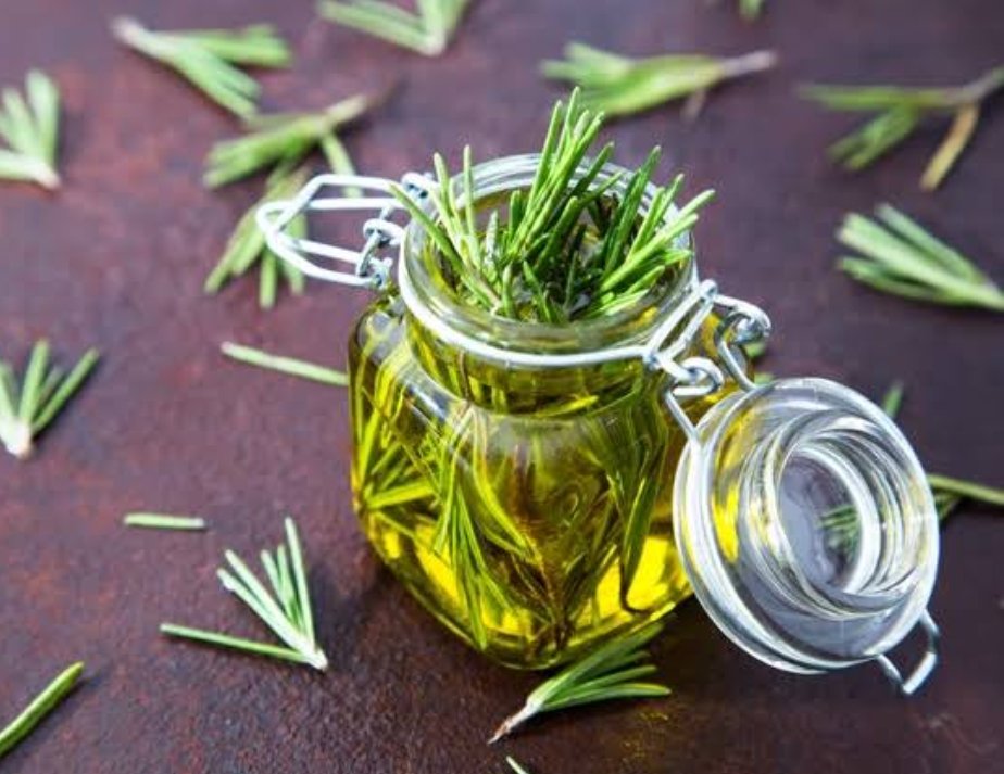 Biberiye bitkisinin zihin berraklığı ve odaklanmayı arttırdığını, eskiden okul yollarına ekildiğini biliyor muydunuz? 

#artıkbiliyorsunuz