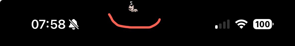 Benoit Deldicque tweet media