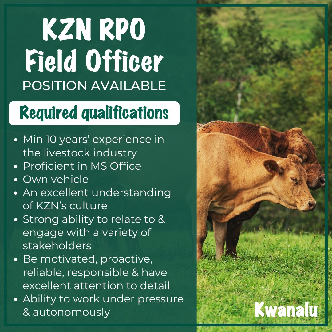 Kwanalu1's tweet photo. Are you an ethical, &amp; experienced professional in the #livestock sector? 🐮 The #KZNRPO is seeking a #FieldOfficer to join their team on a 12-month fixed-term contract. Apply before 6 December 2024 by sending your CV &amp; 3 current references to rpochairman@kznatal.co.za 👨‍🌾 https://t.co/lOKjk4QrB1