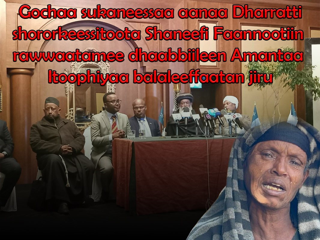FelleshaH73710's tweet photo. #Gochaa sukaneessaa #Shaneefi #Faannootiin rawwaatamee dhaabbiileen #Amantaa  #Itoophiyaa balaleeffaatan jirumootummaaf waamicha dhiyeessani jiru.#Shanee #Faannoo #Amantaa #Itoophiyaa #aanaaDharratti #Ethiopian https://t.co/zJCN4CqxnO