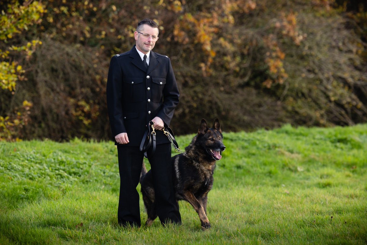 PD TOM another one of our general purpose dogs from Humberside Police - thanks to Thin Blue Paw. #thinbluepaw #HumbersidePolice #GeneralPurposeDog #ThinBluePaw #PoliceDog #K9Unit #DogsofInstagram #WorkingDogs #SupportOurPolice #PoliceLife #PoliceSupport
