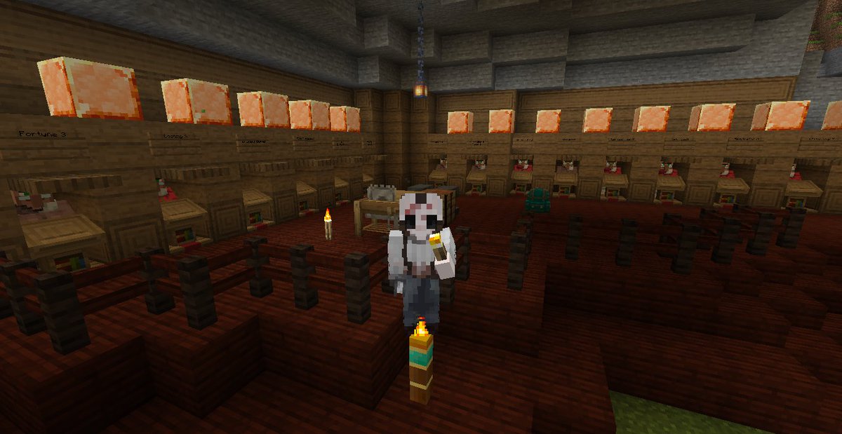 I fear I might be a little Villagerphobic at the moment... #provenancemc