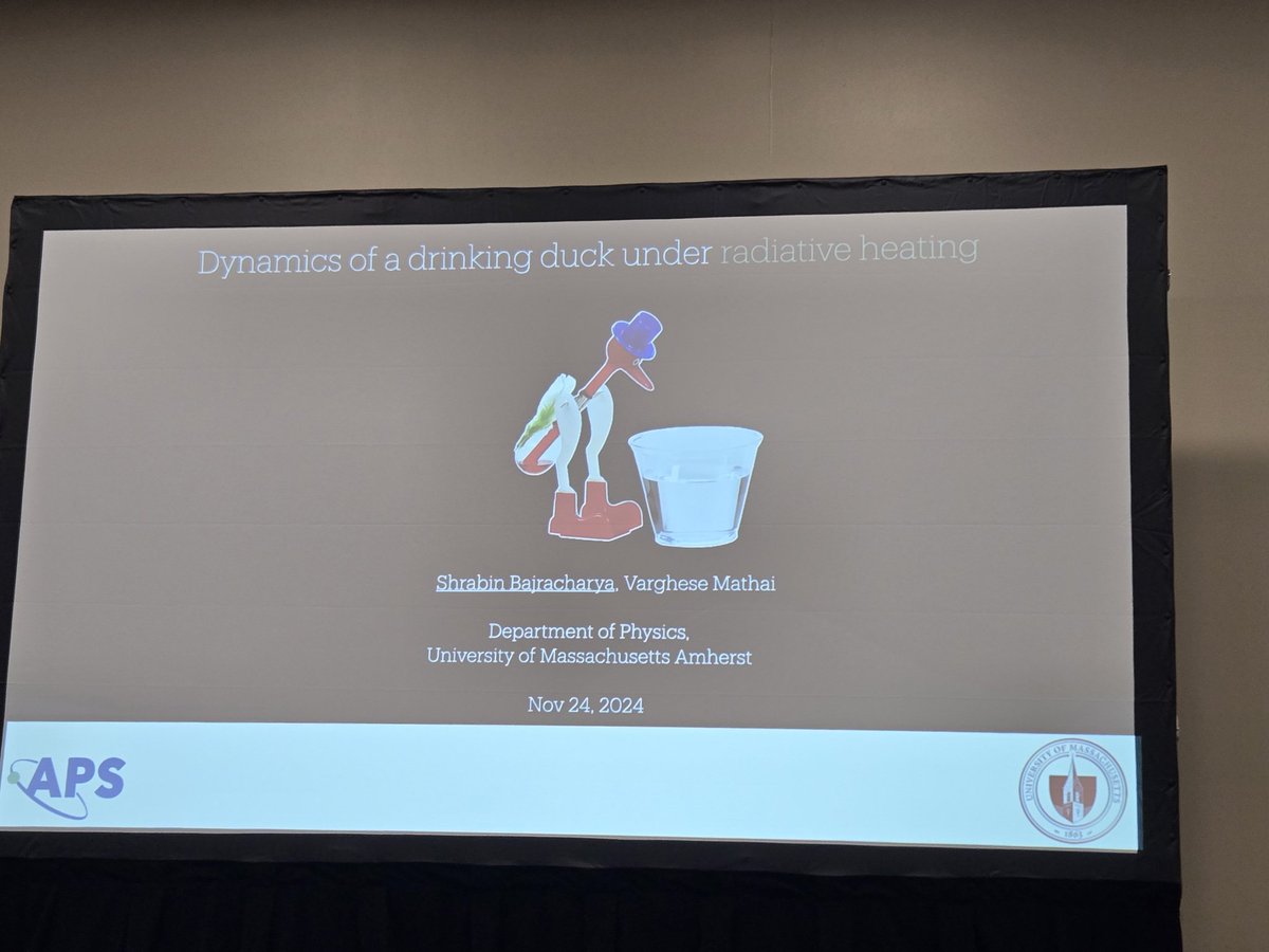 TheChaoticBird's tweet photo. The Dunking Bird was the subject of a research talk at the APS DFD 2024 #apsdfd meeting! https://t.co/IG4PkTUKdD