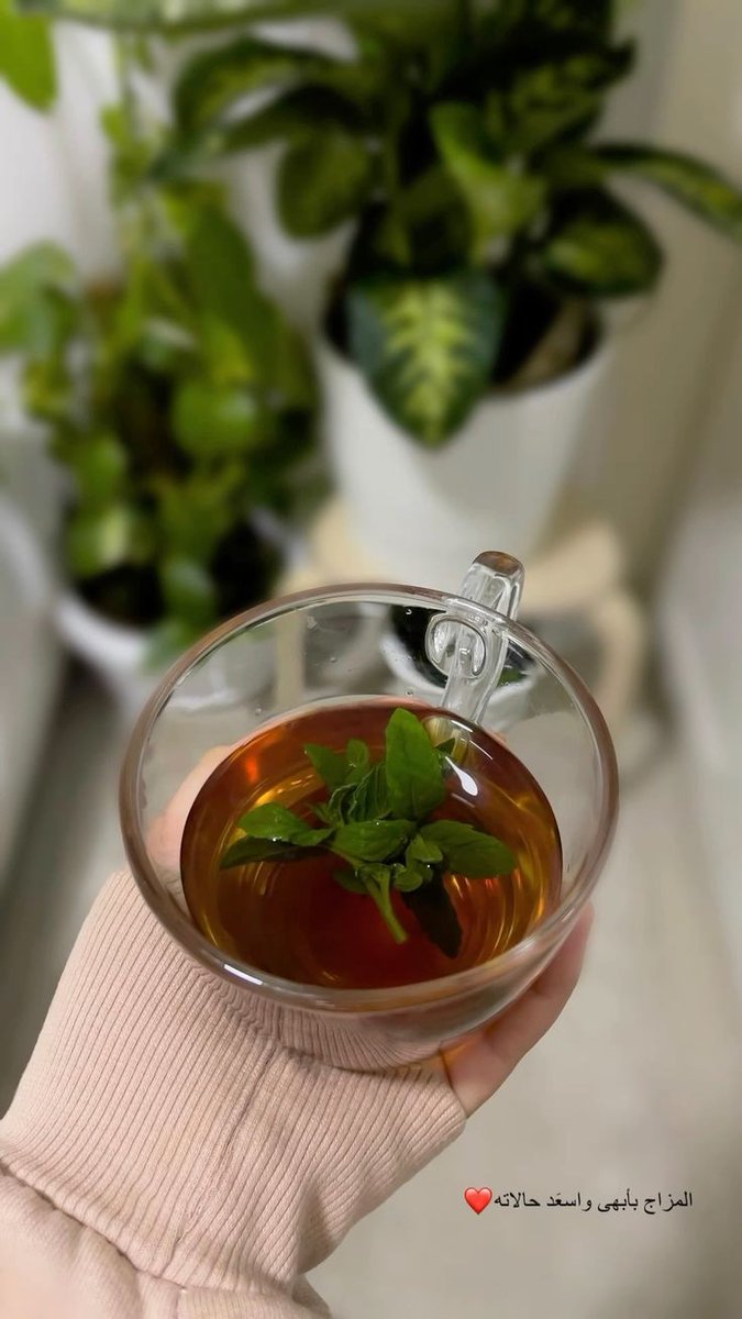 صباح الخير 😴❤️

#شاي #صباح_الخير #ورد #حب