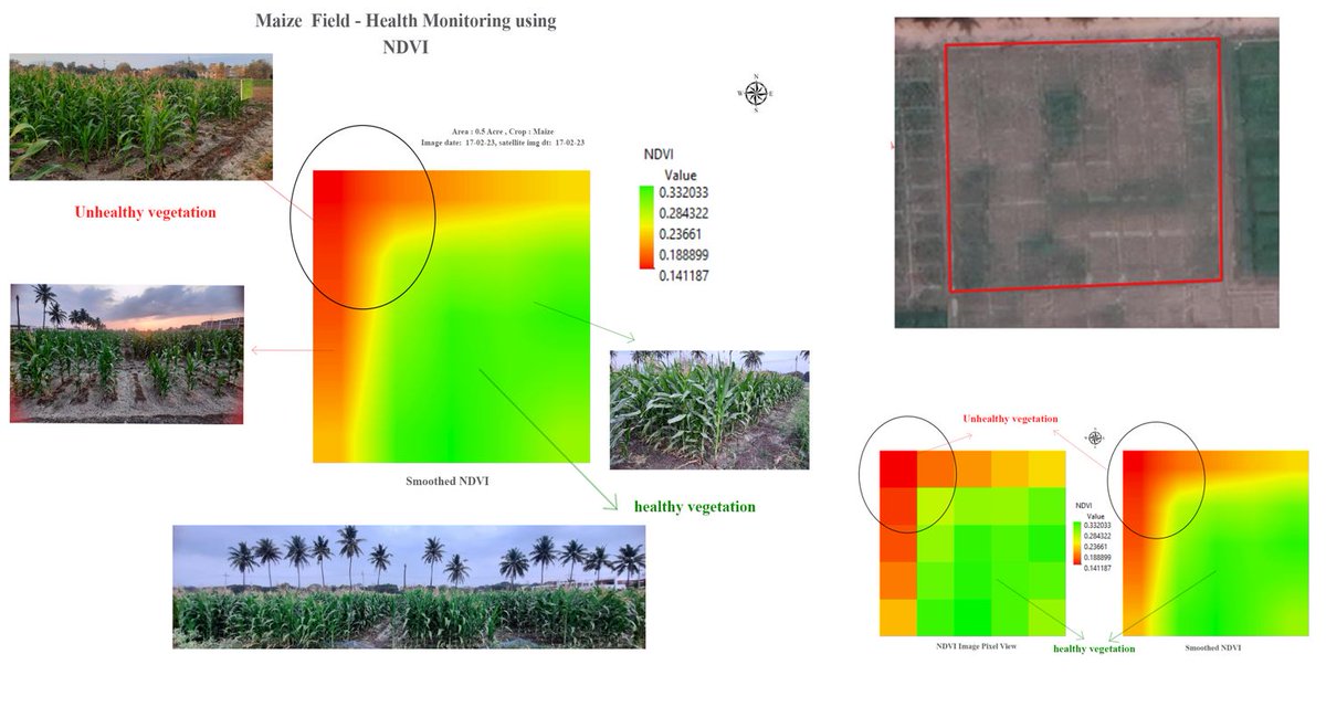 Day 27 of the #30DayMapChallenge: Micromapping

𝗠𝗮𝗽: 𝗠𝗮𝗶𝘇𝗲 𝗙𝗶𝗲𝗹𝗱 - 𝗛𝗲𝗮𝗹𝘁𝗵 𝗠𝗼𝗻𝗶𝘁𝗼𝗿𝗶𝗻𝗴 𝘂𝘀𝗶𝗻𝗴 𝗡𝗗𝗩𝗜

This map focuses on a precise area of a maize field, specifically a 0.5-acre plot cultivated by my friend Dr. Mugesh Raja for his research.
