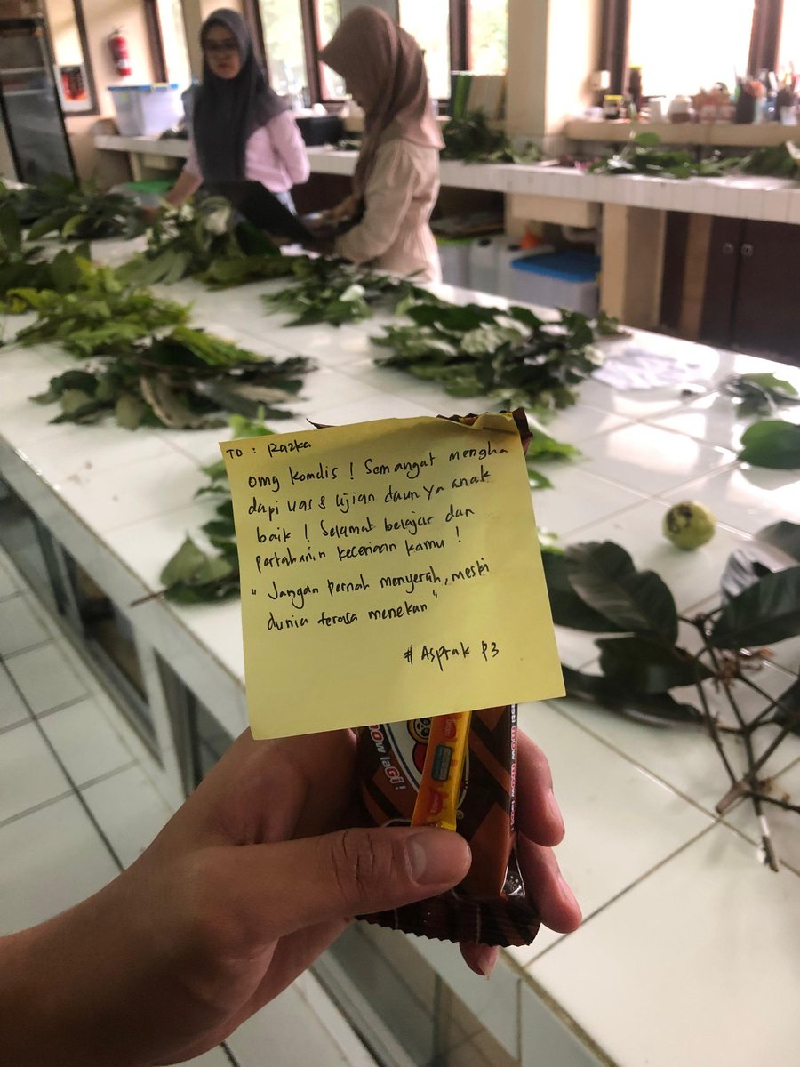 dipanggil komdis sama komdis fakultas>>>>