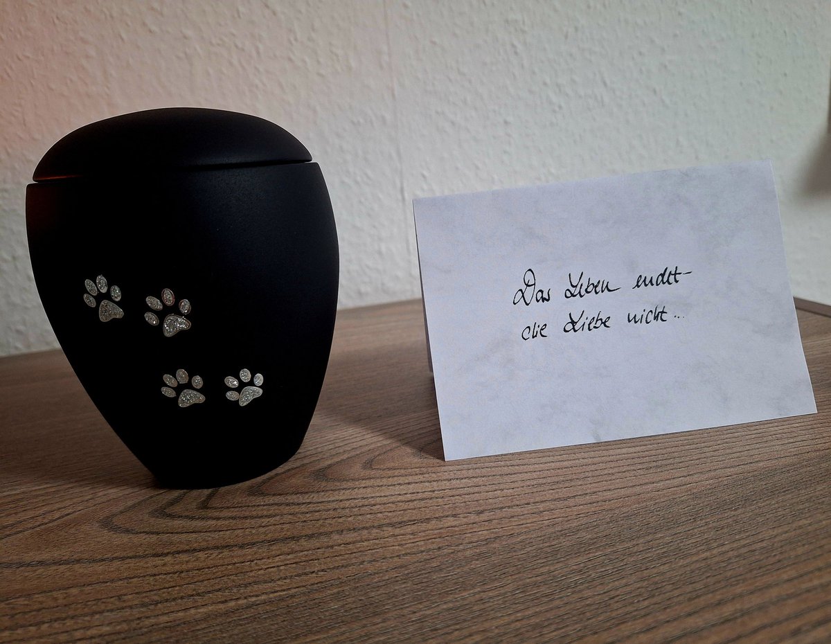 Guten Morgen ☕️ mein kleiner Schatz ist wieder zu Hause 🙏🌈🖤