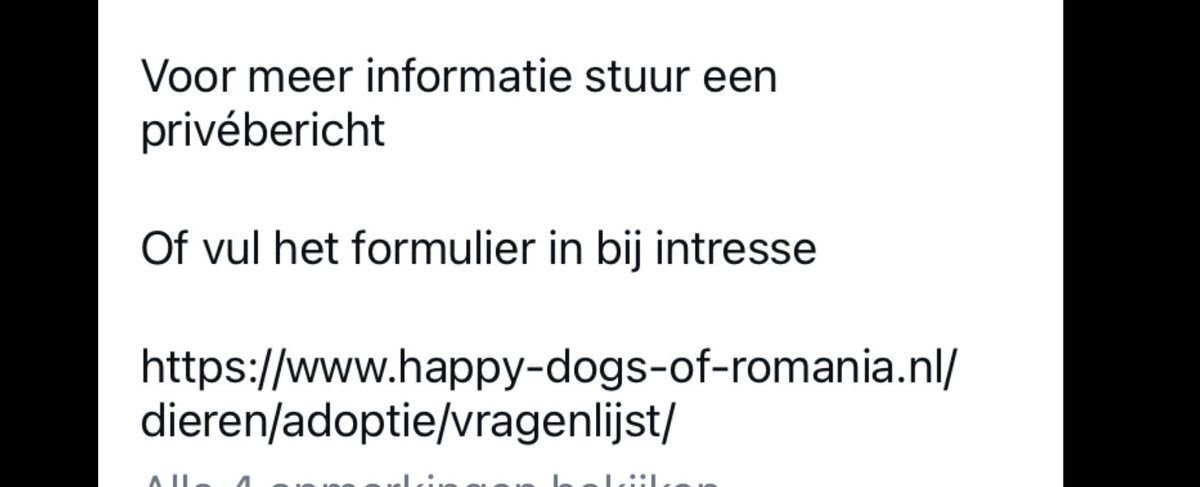 scheulderman75's tweet photo. Dit verhaal 💔 Weet iemand een fijn thuis voor Cara? #adoptdontshop https://t.co/BXzmtSVjzO