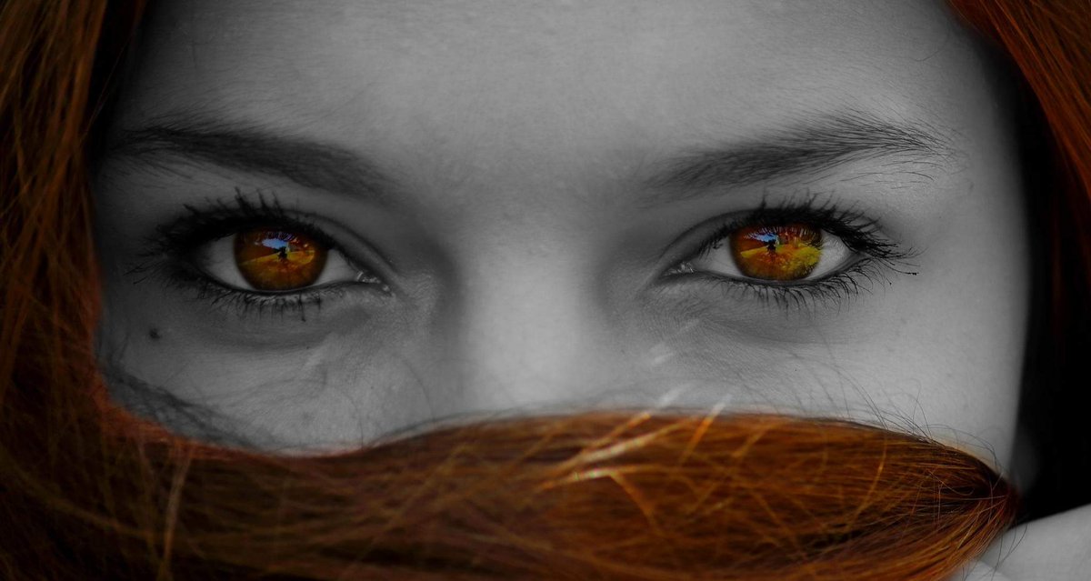 BlueEyedMushies Photographic NFTs on #HBAR ecosystem! 🍄