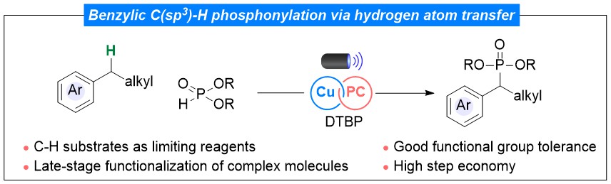 Søren Kramer (@kramerchemistry) on Twitter photo Excited to share our new publication on photocatalysis! In <a href="/angew_chem/">Angewandte Chemie</a> we describe benzylic C-H phosphonylation using dual copper and photocatalysis. Great work done by <a href="/HenghuiLi/">Henghui Li</a> and Yuwen Liu!
Link: onlinelibrary.wiley.com/doi/10.1002/an… Excited to share our new publication on photocatalysis! In <a href="/angew_chem/">Angewandte Chemie</a> we describe benzylic C-H phosphonylation using dual copper and photocatalysis. Great work done by <a href="/HenghuiLi/">Henghui Li</a> and Yuwen Liu!
Link: onlinelibrary.wiley.com/doi/10.1002/an…