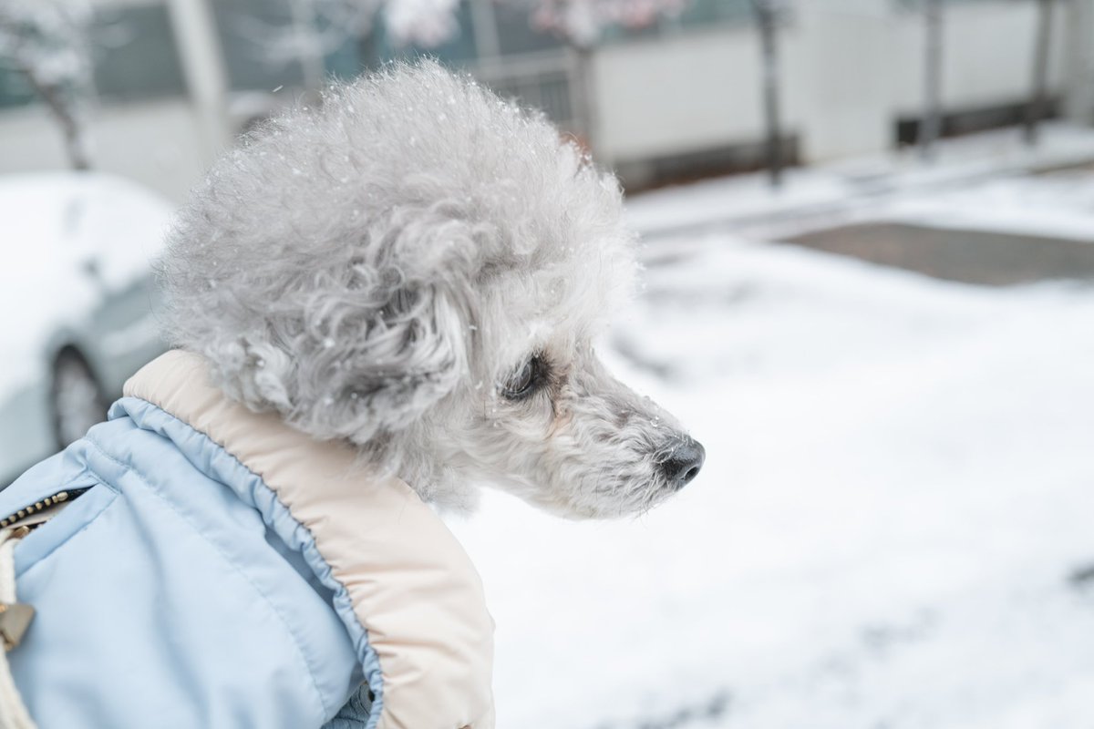 신발장만을 못해둬서 안고귀가.. 괜찮은 신발 추천받아봅니다ㅠㅠ 가격은 상관없어요..