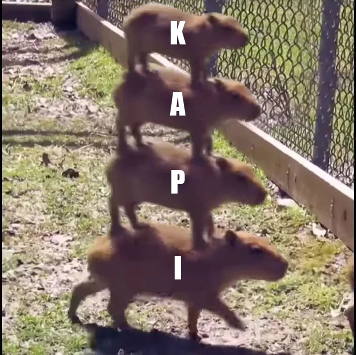 Mr.Kapi tweet media