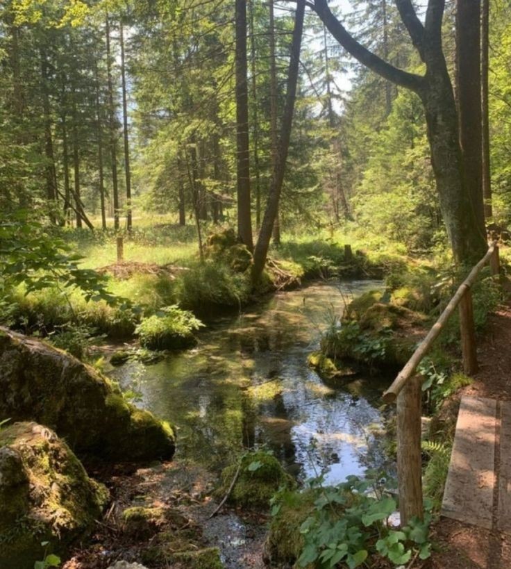 peacozy's tweet image. 