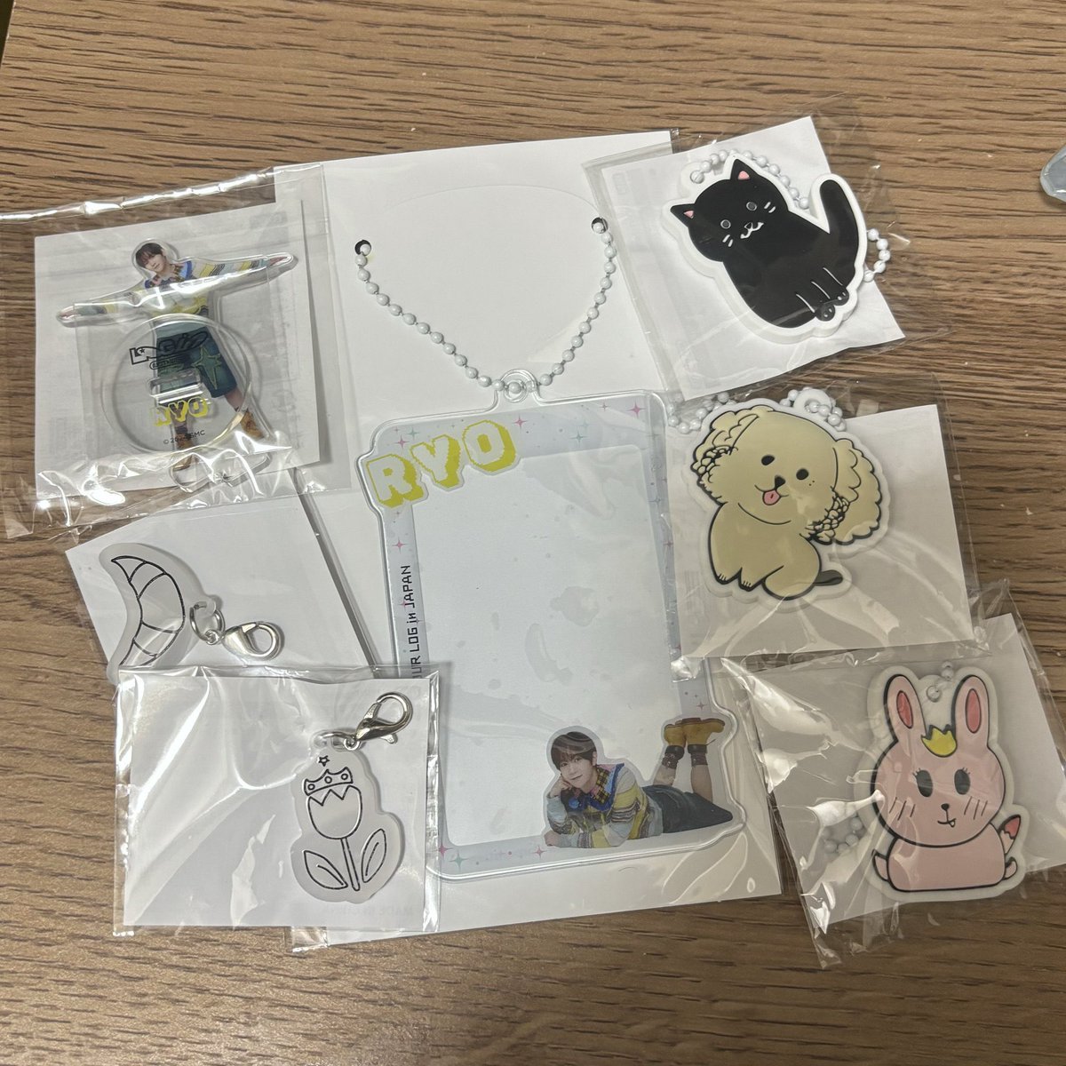 hsyj___'s tweet photo. NCTwish ランダムトイ　うぃし　横浜

譲　写真のもの　
シオン リク サクヤ リョウ

求　全てユウシ

#NCTWISH交換　
今現地にいます◎ https://t.co/pgm2RydKYl