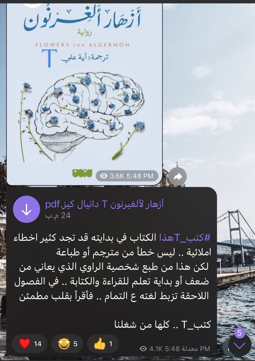 المدائن ✽ 🇵🇸 tweet media