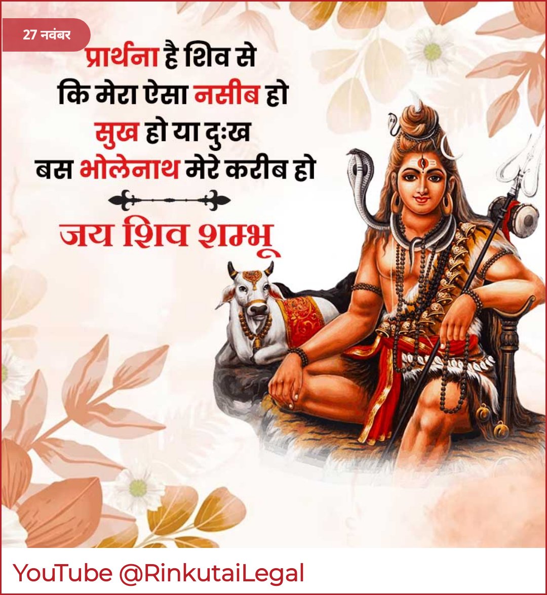 Rinku Tai 2.0 tweet media