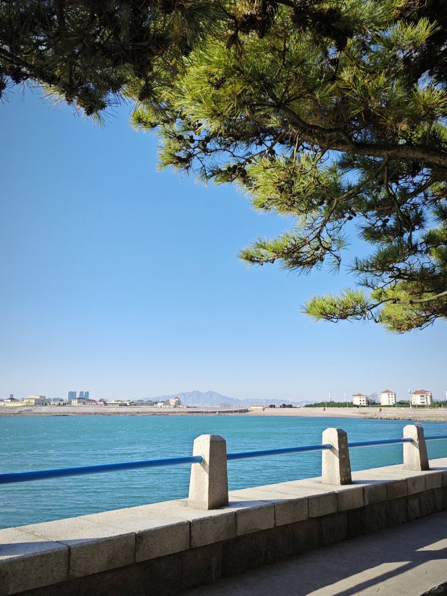 David_Hu12's tweet photo. Autumn in #Qingdao https://t.co/xjKWlb4k4U