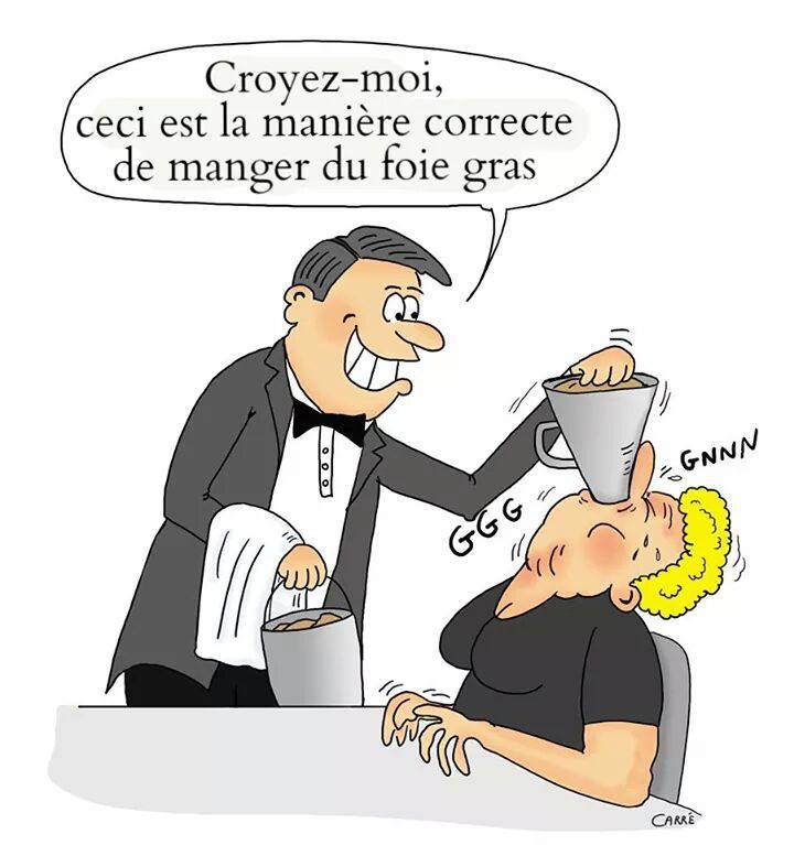 herwe1's tweet photo. @PartiAnimaliste https://t.co/v295koGU3F