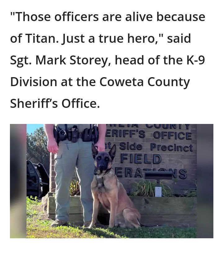 TitanHeroCTO's tweet photo. @cb_doge It's disappointing that mainstream media overlooked the coverage of Titanβs funeral, despite his heroism and sacrifice.
The Titan community is working hard to raise awareness to all service and working K9s, who deserve our respect and recognition!
#K9titan #riptitan https://t.co/C5klml7ejQ
