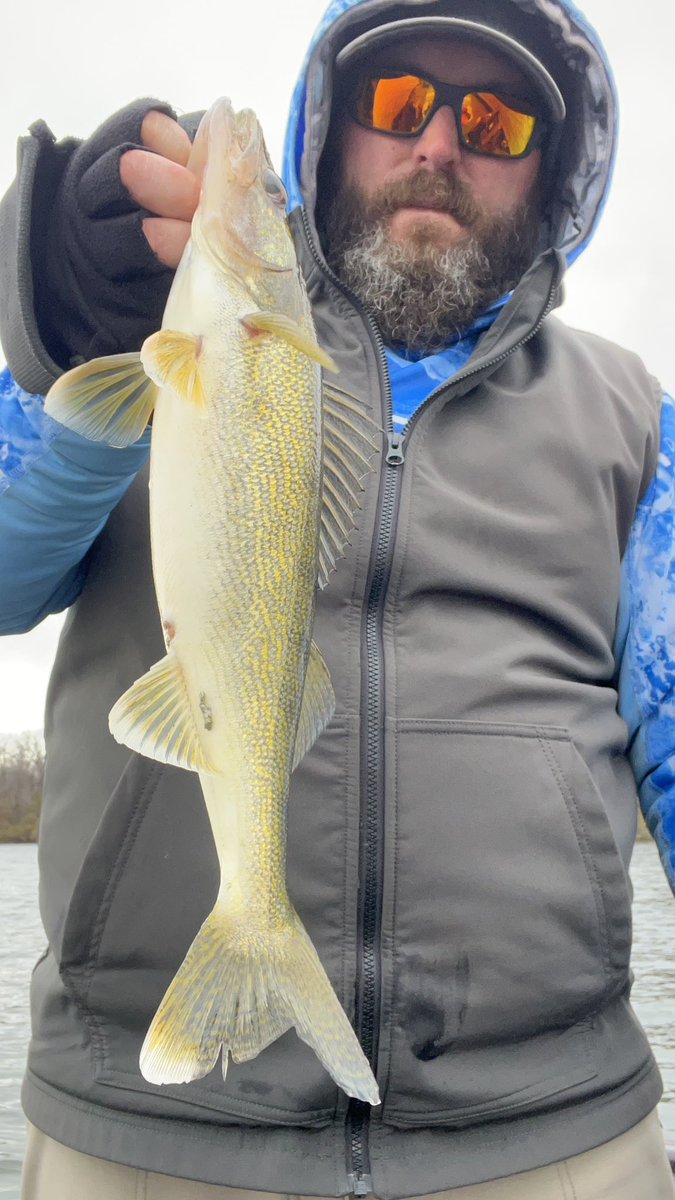CKFishin's tweet photo. Ended my open water season today. Damn it was a little chilly out there, but I got a few to bite. ￼
#fishing #walleye #fishinglife https://t.co/wXyINhrNHW