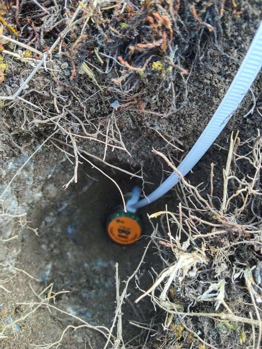 drhimalayas's tweet photo. 19 HOBO Tidbit temperature sensors are being installed in the headwaters of Thim Chu (Yaree La area) based on the permafrost probability map developed at ICIMOD and embedded within App @QFieldForQGIS (4/5) https://t.co/DHFaQSyPyg
