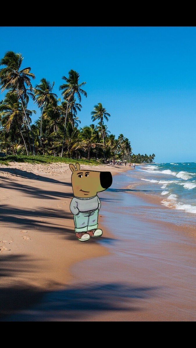 Thupten_227's tweet photo. Chill guy https://t.co/n5tNvcfqsD