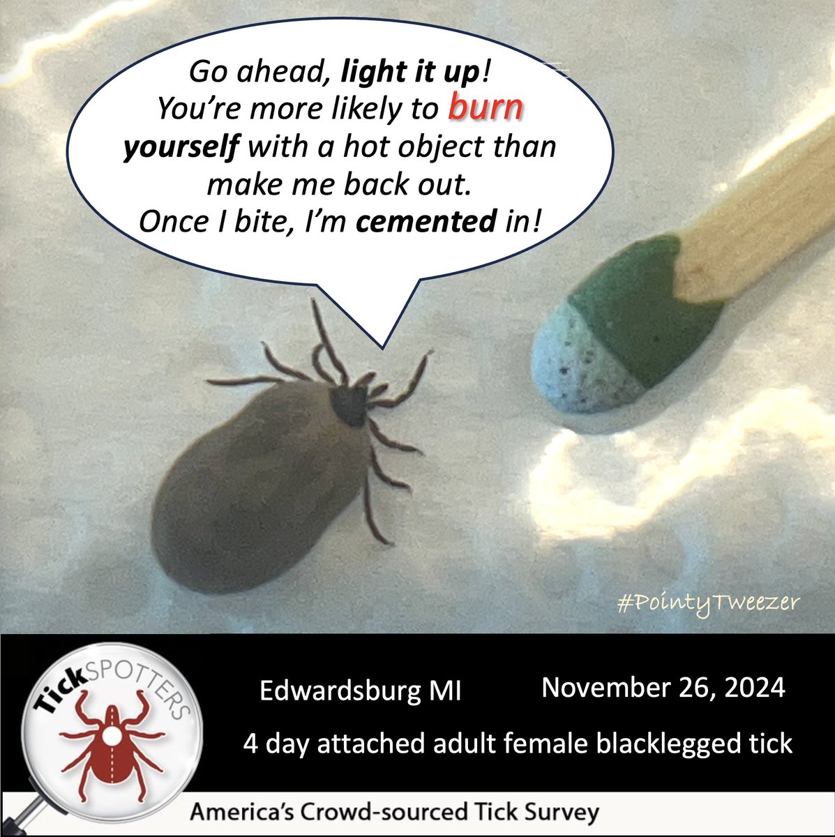 It’s a ticky world out there...so, it’s important to know how to remove ticks safely. Using pointy tweezers, and grasp the tick head close to the skin without squeezing the back end of the tick, is most effective for ALL types of ticks. Check this out... bit.ly/pointytweezers